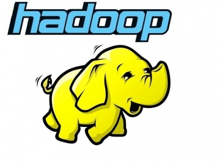 Hadoop training in faridabad by MNC Expert