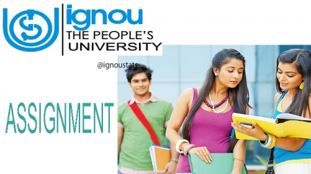 Ignou solved Assignment BPAE-2 in English medium 2017-18