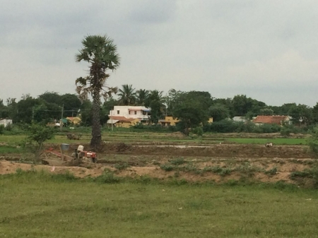 1.53  Acres Agriculture and farm 1 house land for sale in Keeranur at Illaiyavayal 