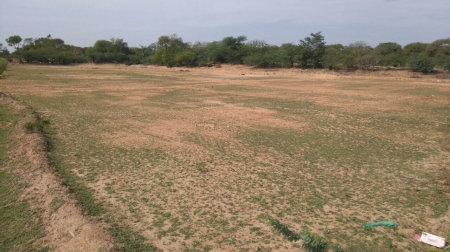 1.53  Acres Agriculture and farm  house land for sale in Keeranur at Illaiyavayal 