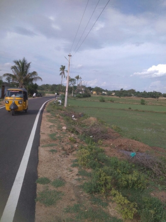 1.53  Acres Agriculture and farm  house land for sale in Keeranur at Illaiyavayal 