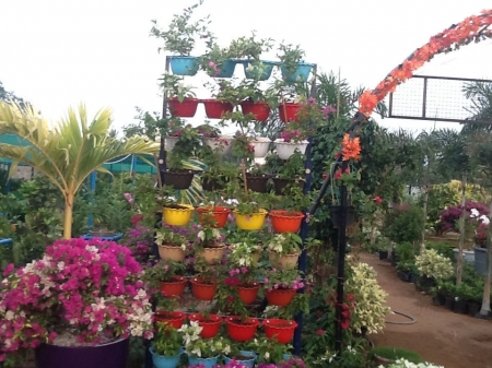 Plant Nursery in Chennai