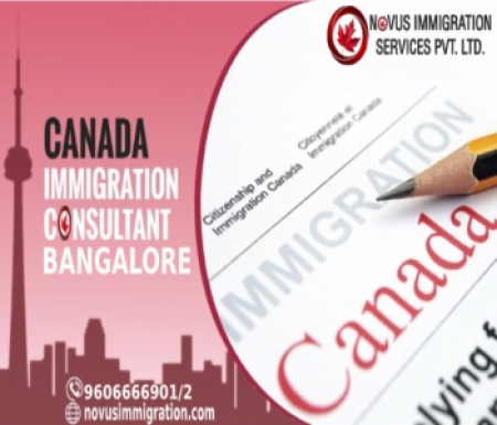 Best Immigration Consultant In Bangalore – Novus