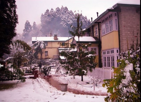 Cool and Best 5 star resort in Darjeeling 