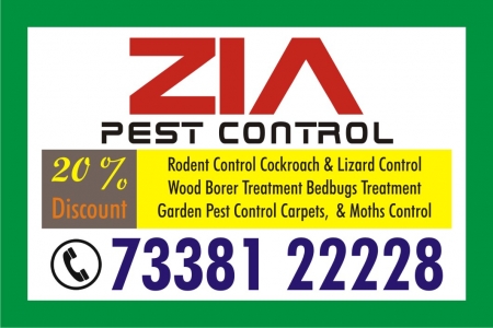 High-level Pest Control | Cockroach and Bed Bug Service | 1334 |